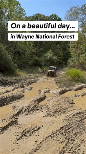 This is what a beautiful day looks like in Wayne National Forest 🍂🍃🍁You can have a day like this when you rent a Polaris RzR from Adventure Pro Outdoors - Hocking Hills Ohio! #UTVTour #trailride #waynenationalforest #hockinghillsohio #rzrlife | Adventure Pro Outdoors - Hocking Hills Ohio