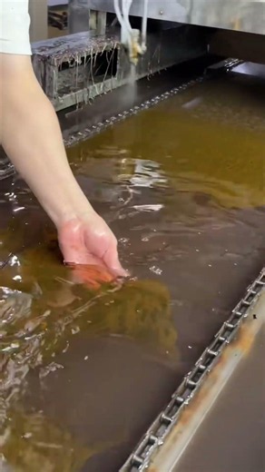 Plastic water transfer printing process