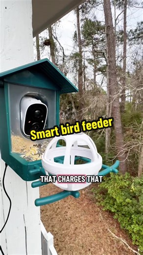 This smart bird feeder has a solar panel to charge the battery. You can watch birds in real time or it can automatically take 10 second video and save to the cloud. Also has 2 way voice. #birdsoftiktok #birdlovers #birdfeeder #birdwatching