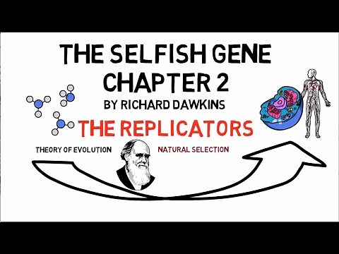 THE SELFISH GENE Chapter 2: The Replicators (by Richard Dawkins) | Animated Summary