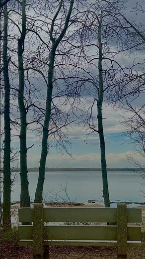 Sylvan Lake Vibes ✨ | sweet Summer Spot in Alberta