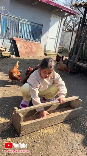 Găinile și păsările adunate în jurul Mariei