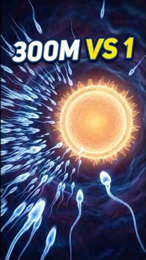 The Incredible Race: 300 Million Sperm Begin the Race to One Egg #shorts