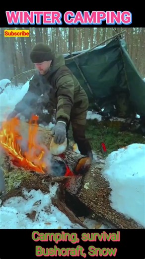Building a Hidden Forest Shelter | Ultimate Solo Survival Adventure #winter #camping #snow