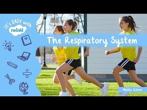 The Respiratory System for Middle School Students | It’s Easy With Twinkl | Twinkl USA