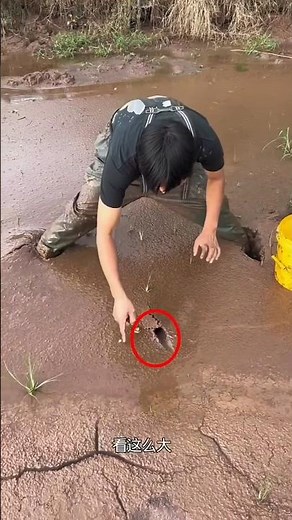 OMG!! Is That a Snake Hiding Inside This Hole?? 😳🐍 #shorts #ytshorts #viral