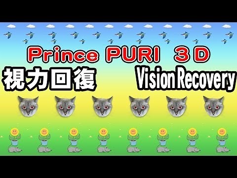 立体視で視力回復 "Prince PURI 3D" Vision Recovery Training