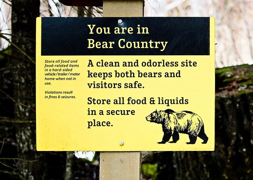 How to Keep Bears Away While Camping (8 Tips and Tricks) | GudGear