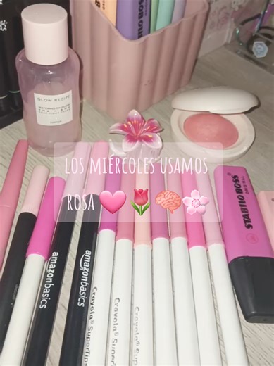 Los miércoles usamos rosa 🐖🩷🌸🌷#meangirls #losmiercolesusamosrosa #plumones #pinchitiktokponmeenparati #fyp @Rare Beauty @Crayola México @Glow Recipe @Pink Up Cosmetics