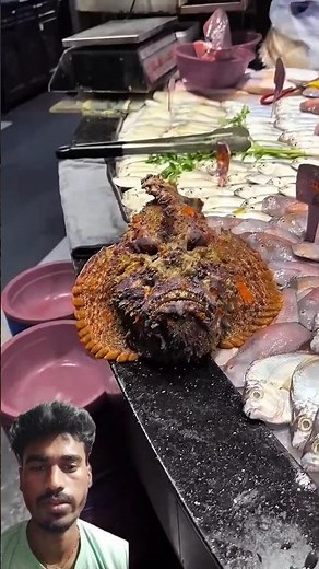 Stonefish – World’s Most Venomous Fish | Deadliest Ocean Creature Explained 🐟⚠️