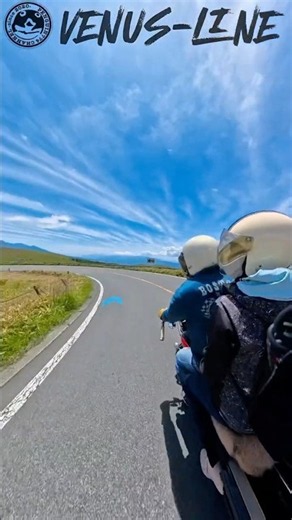 【ビーナスライン】DSC400 ビンテージカスタム