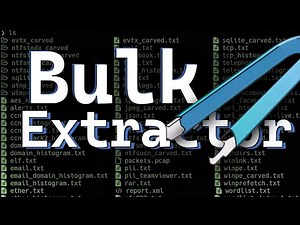 ¿CÓMO extraer INFORMACIÓN de un ARCHIVO? | BULK EXTRACTOR