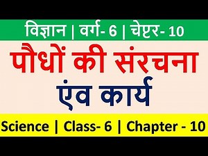 विज्ञान, वर्ग- 6 , चेप्टर- 10, पौधों की संरचना एंव कार्य , Science, Class- 6, Chapter - 10, Anjali
