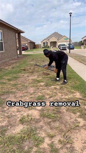 The American Dream #finance #money #business #lawn #crabgrass #foryou #realestate