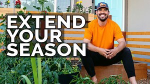 18K views · 936 reactions | My Summer garden is replanted as I've...