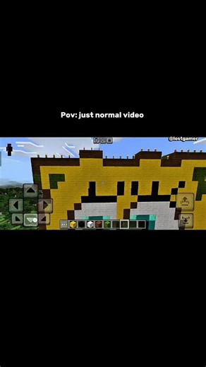 #just normal Day in #Minecraft 😳🤫🤫