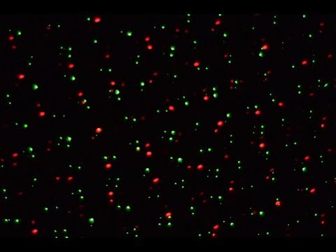 Red & Green Dot Starry Night Pattern Garden Laser Light