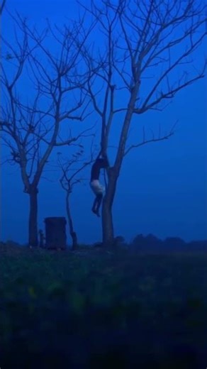 Bengali horror video clip #viral #shortsfeed #trending #horror #shorts