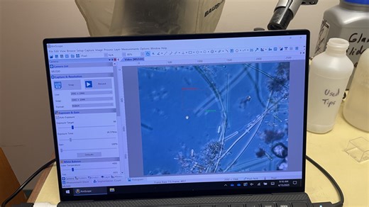 These researchers think the sludge in your home may help save the planet