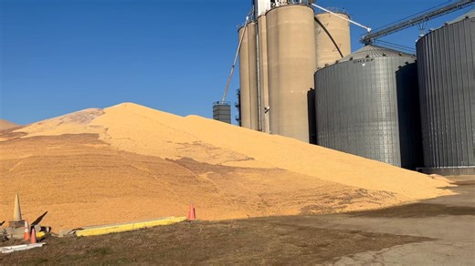 John Pierce on Reels