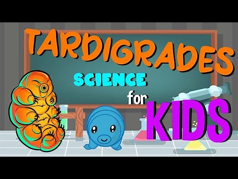 What are Tardigrades | Science for Kids