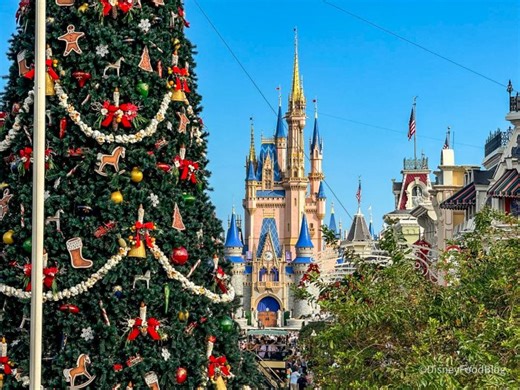 What I Wish I'd Known Before Going to Disney World in November | the disney food blog