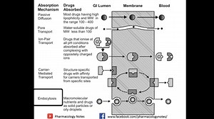 part 4 | Pharmacology Notes | Facebook