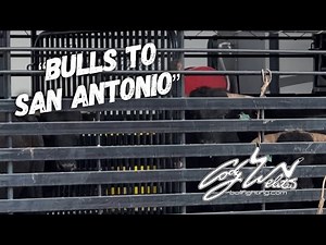 Hauling Bulls To San Antonio - Behind the chutes #160
