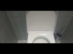 Puking in the company's toilet. Burping and vomitting