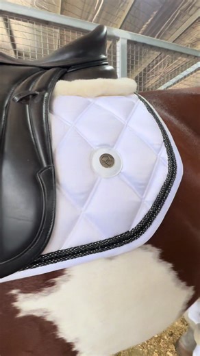 Young Rider Tests Qualification at Sydney CDI