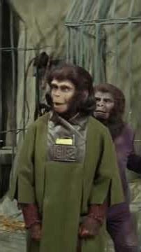 62 Years of Planet of the Apes