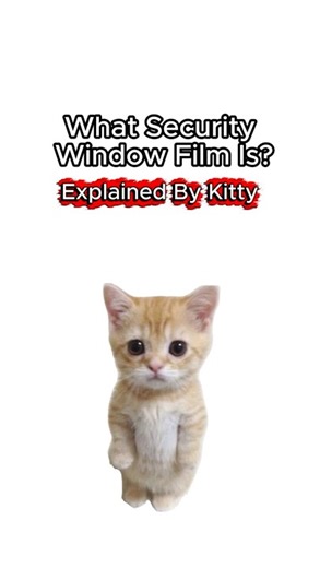 What is Security Window Film? Explained by Kitty
