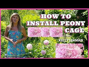 How to Install a Peony Cage - Kelly Lehman