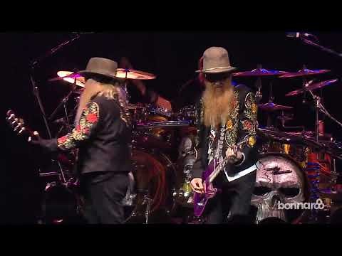 Pincushion - ZZ Top - live 2013