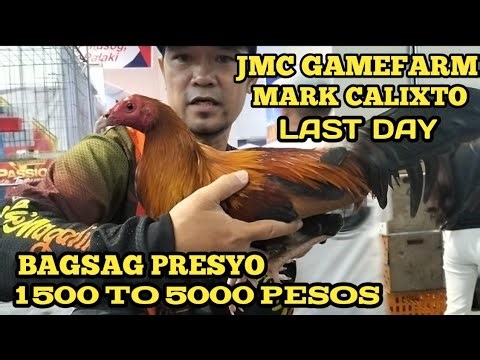 DAY 3 FIESTAG / JMC GAMEFARM MARK CALIXTO LAST DAY BAGSAK PRESYO NA
