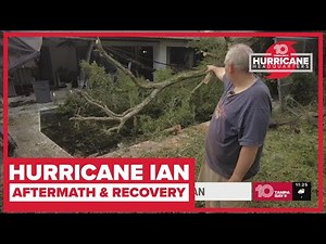 Downed trees: Neighbors begin cleanup in Valrico after Hurricane Ian