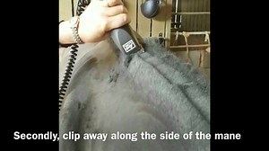 1K views · 4 comments | Hogging with the Lister Libretto Max! A great lightweight duty clipper that is man enough to get through some pretty tough hair here. It's also great for tidying ears, faces and legs - it's also battery powered for ease and mobility. | Clippersharp | Facebook