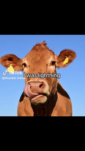 The Power of Lightning: Understanding Its Impact