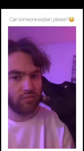 Cute & Funny Dogs Comp#dogsoftiktok #dog . | Just Dogs Show