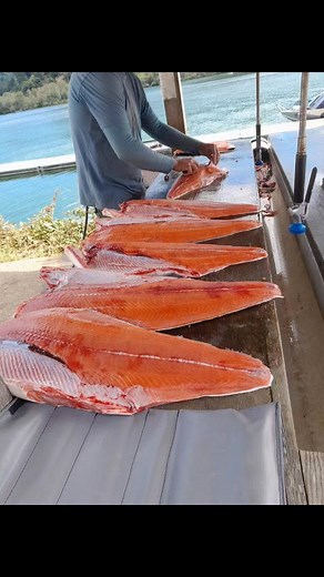 Robert Nelson on Reels