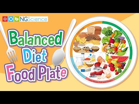 Balanced Diet Food Plate