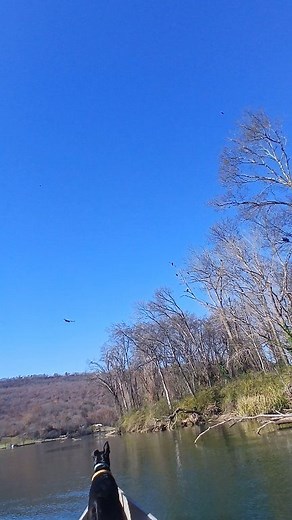 Vultures | Ryan Ray | Facebook