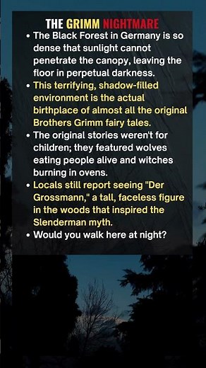 The Forest That Inspired Humanity’s Darkest Tales #facts
