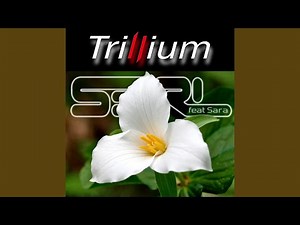 Trillium (feat. Sara)