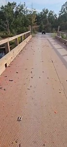 247K views · 1.5K reactions | Maybe it’s time to get the tv news channels involved. Take them in for a Saturday morning ride and let them do a live interview with these whacko’s  | Steve Schell | Facebook