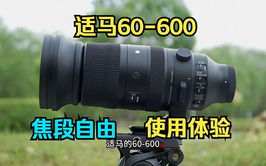 适马60-600mm使用体验