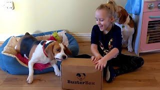 Surprising Beagles With Toys From BusterBox