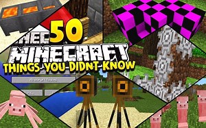 【UnspeakablePlays】我的世界中只有“骨灰级玩家”才知道的50个事实！