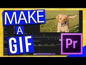 How to Make a GIF in Adobe Premiere Pro