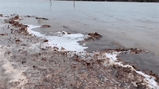 New interactive map reveals PFAS contamination in Michigan waters